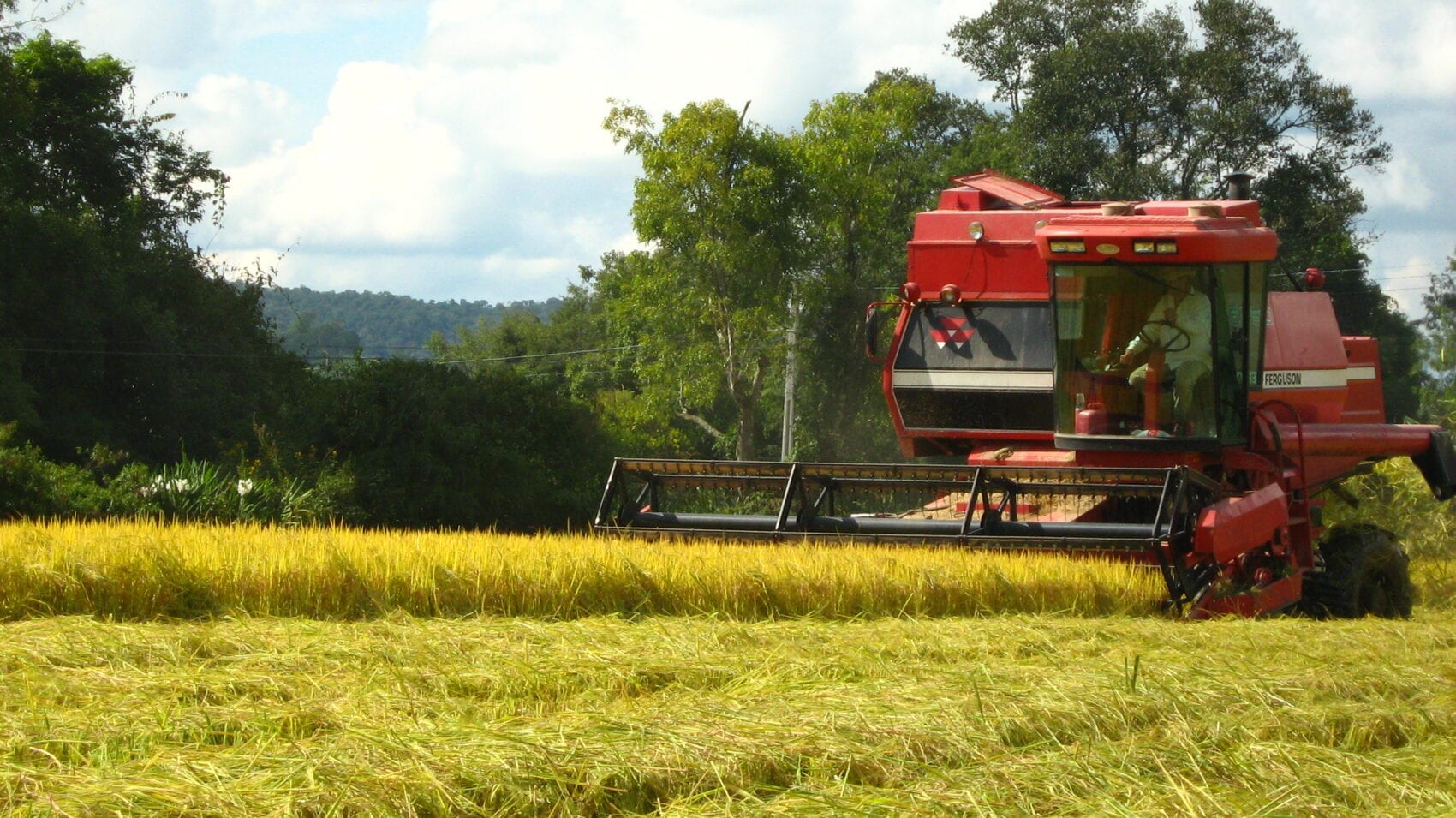 Indicadores agropecuários